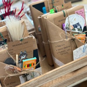 Blind Date with a Book!